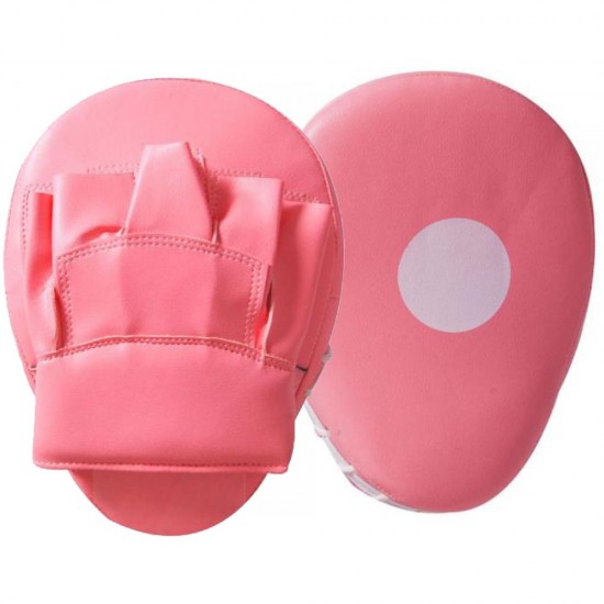 Focus and Punching Mitt